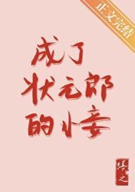成了状元郎的小妾讲的什么