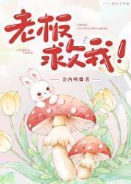 求助老板扶我一把