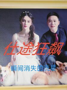 仕途狂飙周默沈清宴