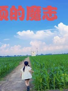 云顶之弈魔法阵容新版