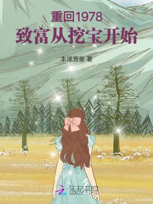 重回1978致富从挖宝开始(丰)