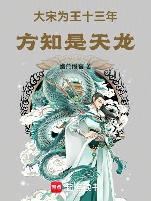 大宋为王十三年方知是天龙无防盗