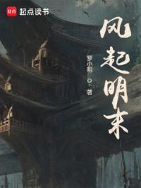 风起明末无错版