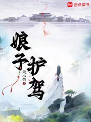 大夏明镜扫书