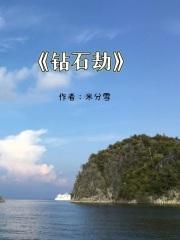 钻石大劫杀电影在线观看国语