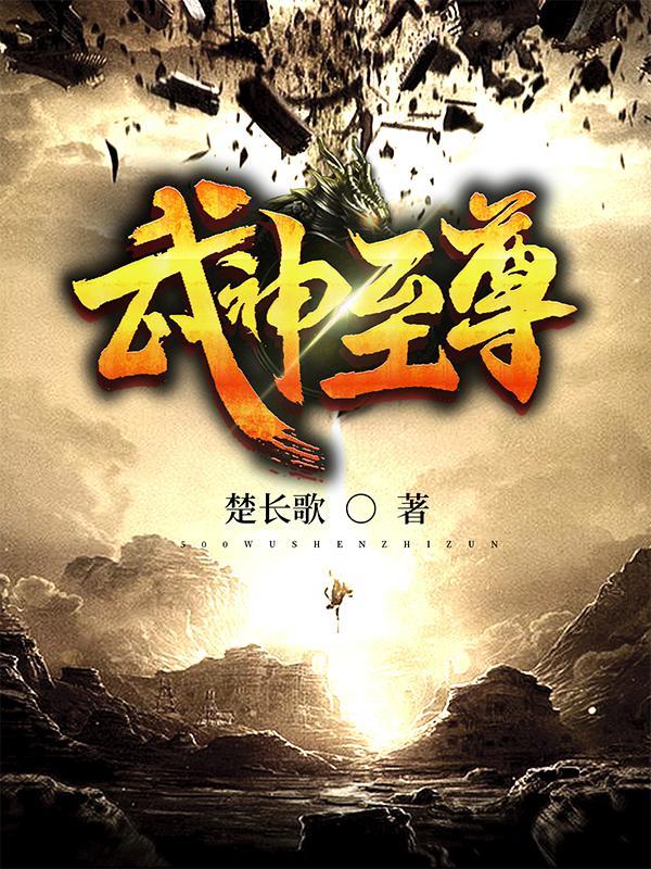 武神至尊叶风境界