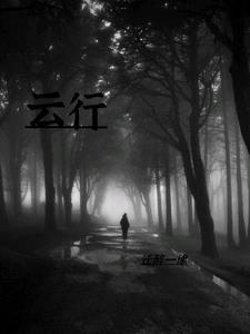 雨无终;云行西