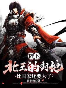 陛下北王的封地比国家还要大了 楚非鱼