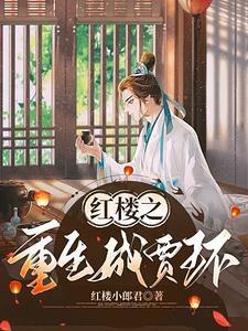 穿越红楼之庶子有为