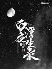白夜浮生录纵横