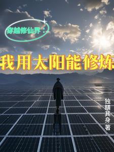 穿越修仙界我用太阳能修炼书旗