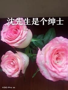 沈先生哪个平台主播