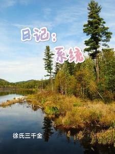 反派日记系统