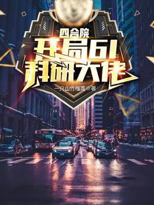 四合院之技术员