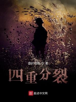 四重分裂全文免费阅读