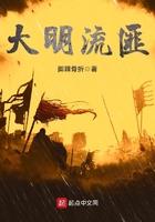 大明流匪TXT免费全本