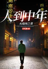 人到中年的文案