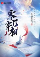 寒门宰相起点中文