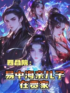 四合院易中海走失的儿子
