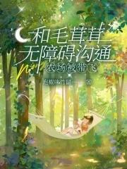 毛茸茸汇
