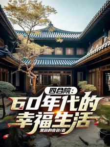 六七十年代北京四合院的电视剧