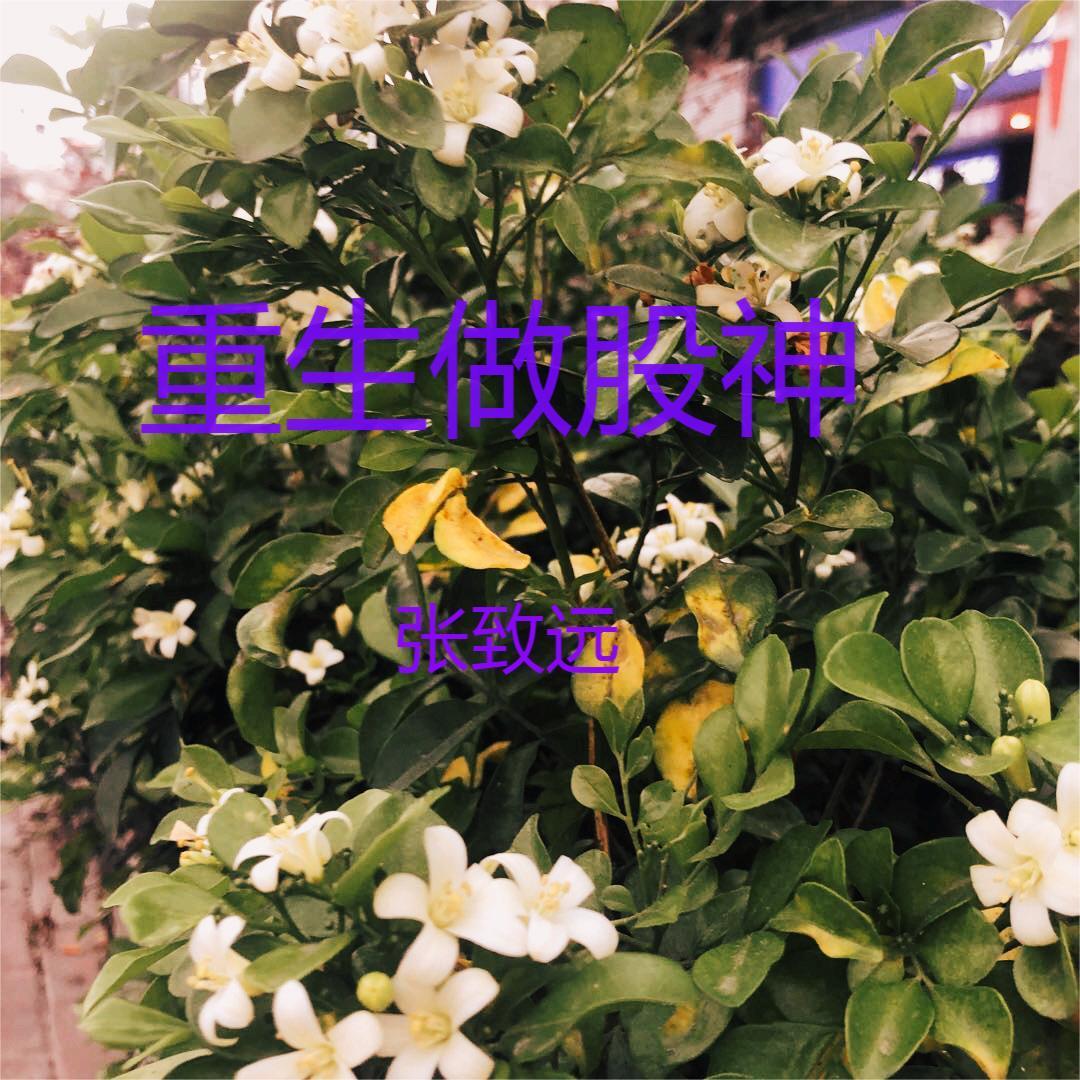 重生之股神