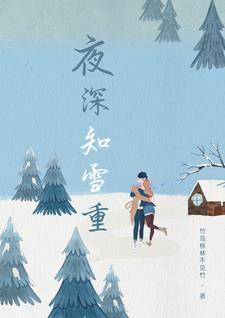 夜深知雪重by楚执全文免费阅读txt