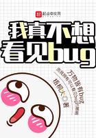 我真不想看见BUG