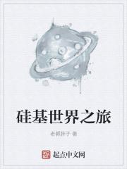 硅基产业包括哪些
