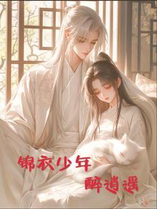 锦衣少年行3