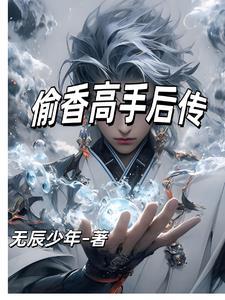 偷香高手详细