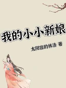 我的小小新娘电视剧