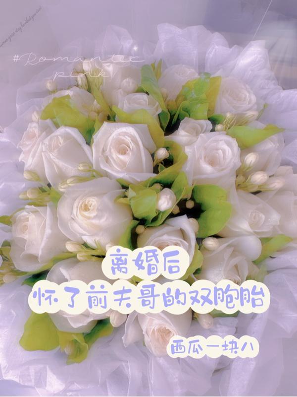 离婚怀了前夫的孩子