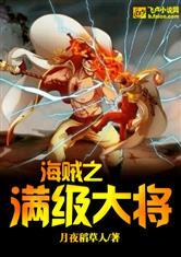 海贼之满级系统免费阅读