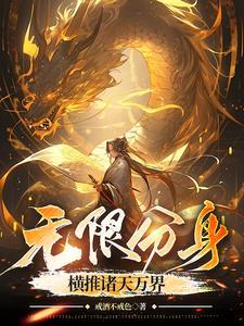 我有无线分身系统