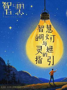 智慧的灯作文450字