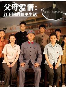 父母爱情背景音乐