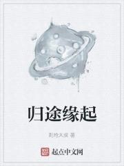 归途gl原和txt