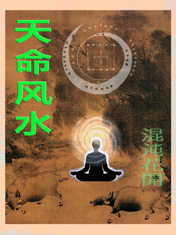 天命风水师姜胜完整版
