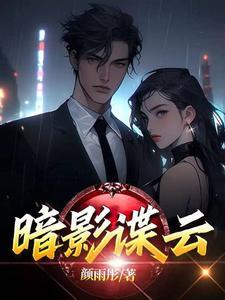 暗影谍云30集免费播放