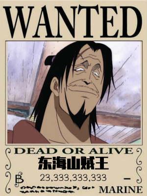 海贼我!东海山贼王