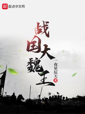 战国魏国大将