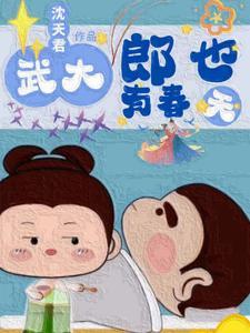 穿越主人公武大郎