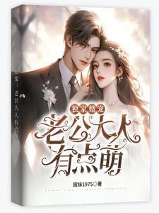婚宠撩人老公大人宠上天