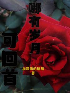 哪有岁月可回首 袁小袁歌词