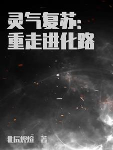 终级进化者