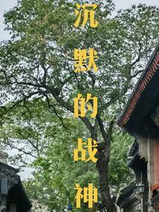 沉默战神 背景设定