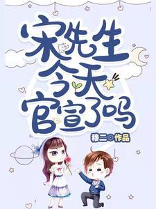宋先生到底是谁