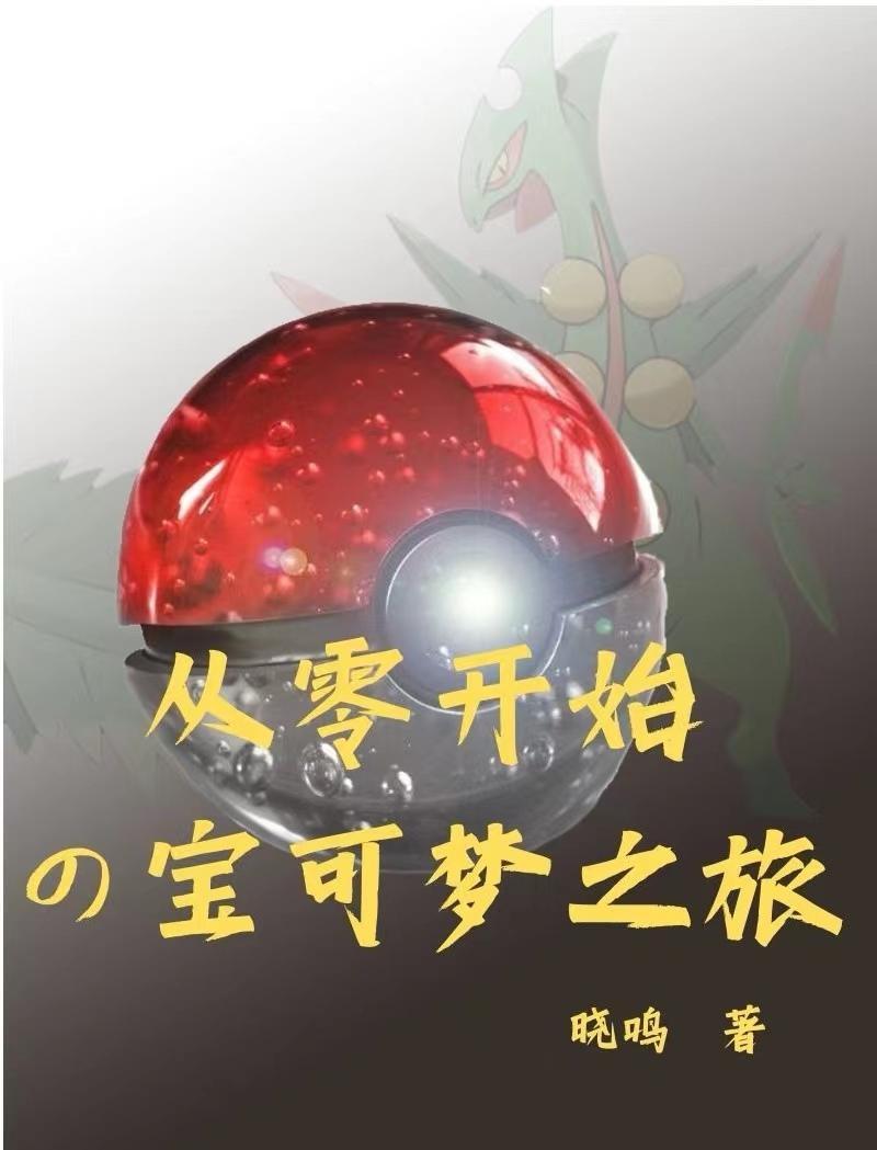 宝可梦入门
