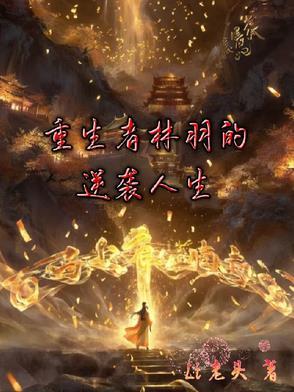 男主人公叫林羽重生的